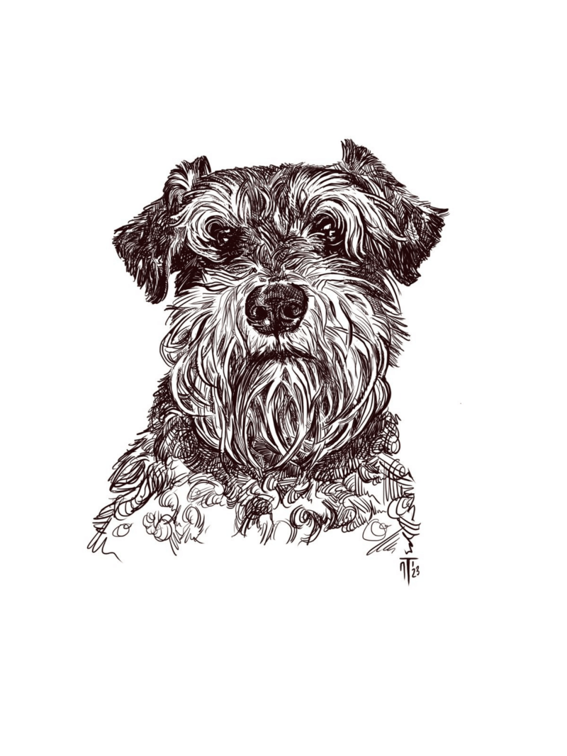 Pooch - Dog Portrait