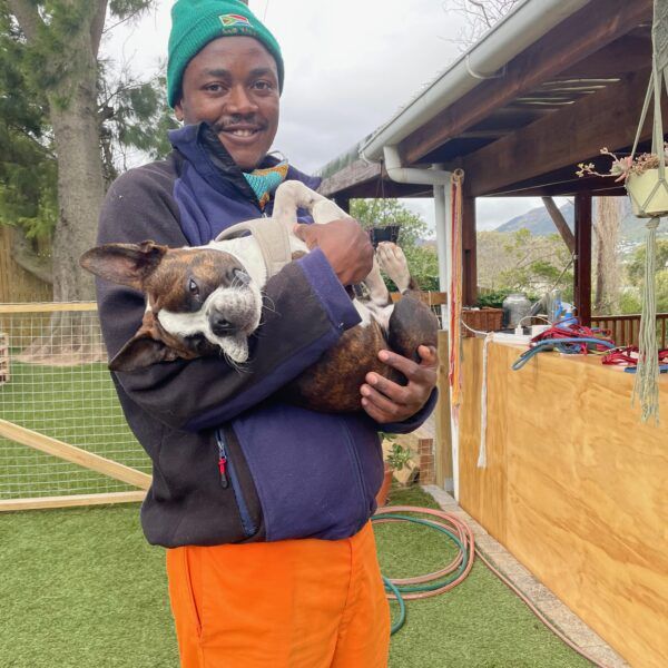 Pooch - Daycare Dogs