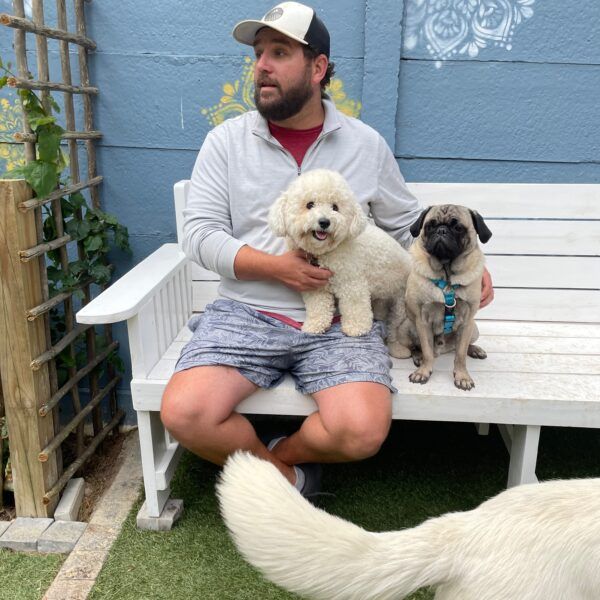 Pooch - Daycare Dogs