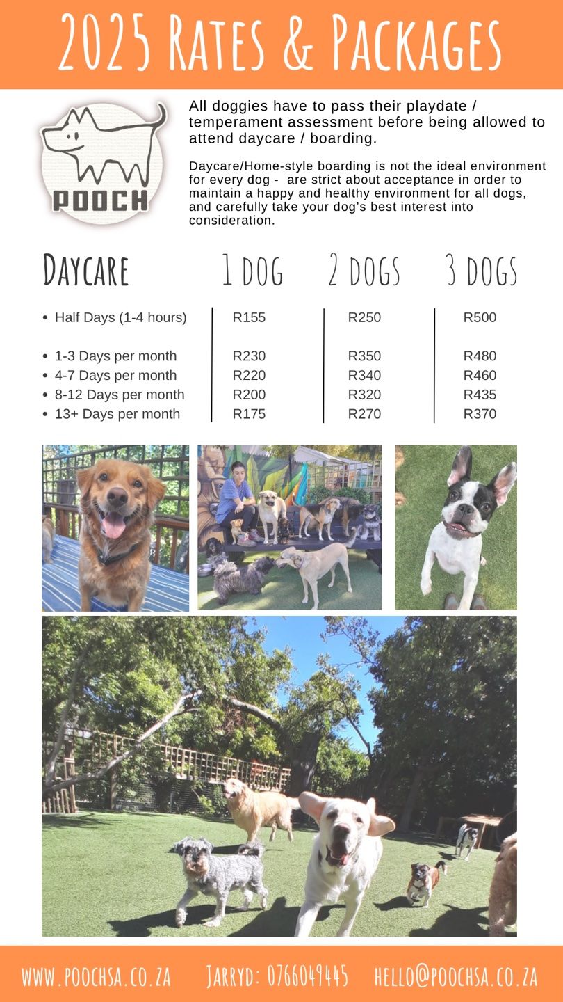 Pooch - Rates & Packages